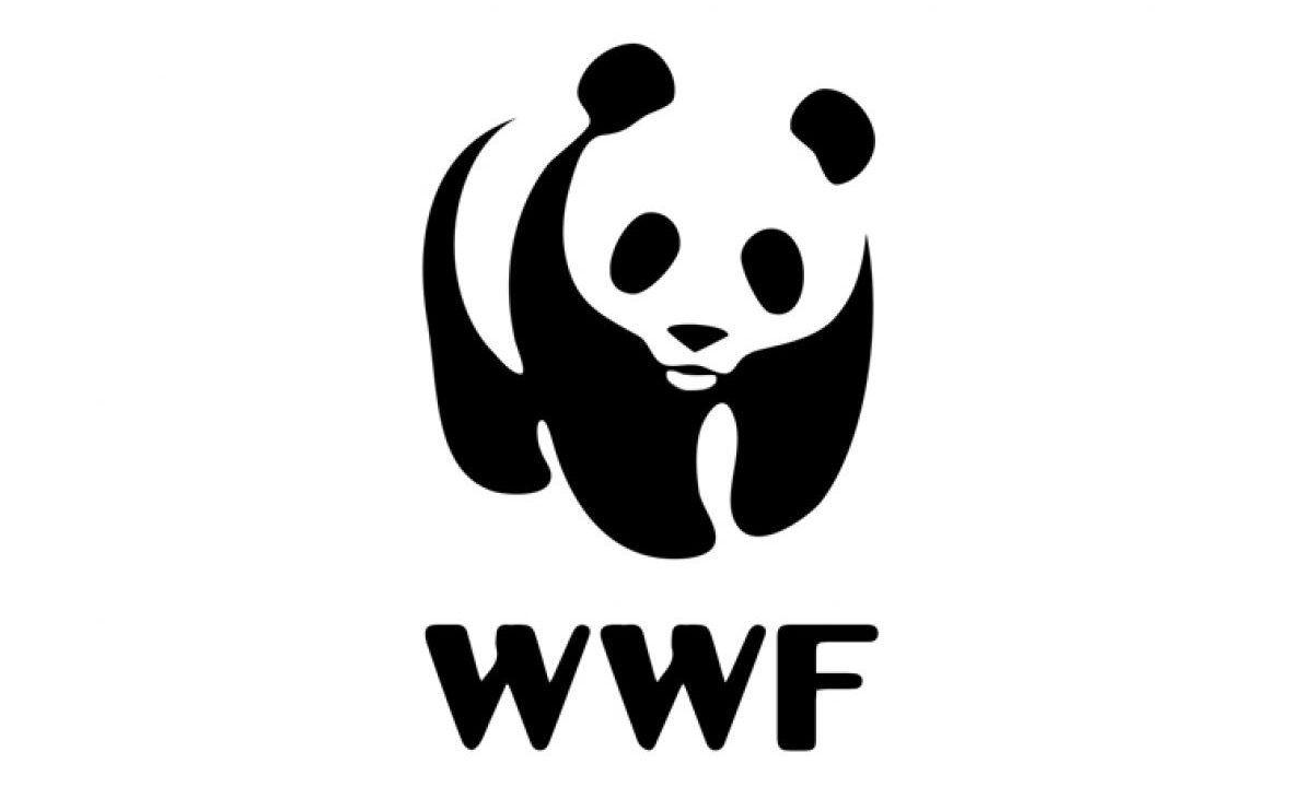 WWF - WWF